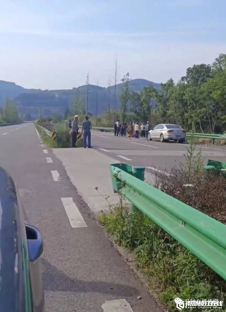 南部茶馆-南部陵江在线【警钟长鸣】南部定升公路，发生车祸，一死一伤！！！南部陵江在线(1)